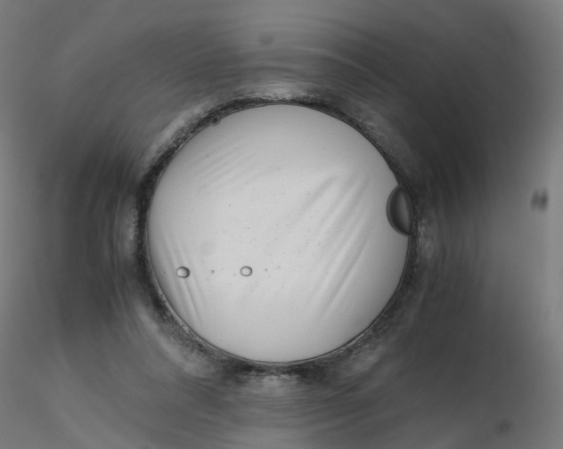 X0000116350304200912221507