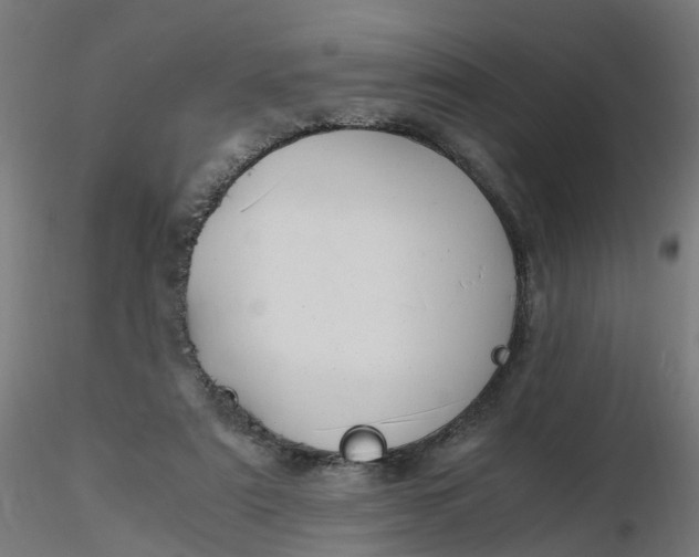 X0000116350307200912221507