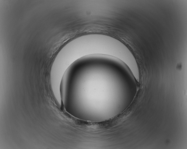 X0000116350309200912221507