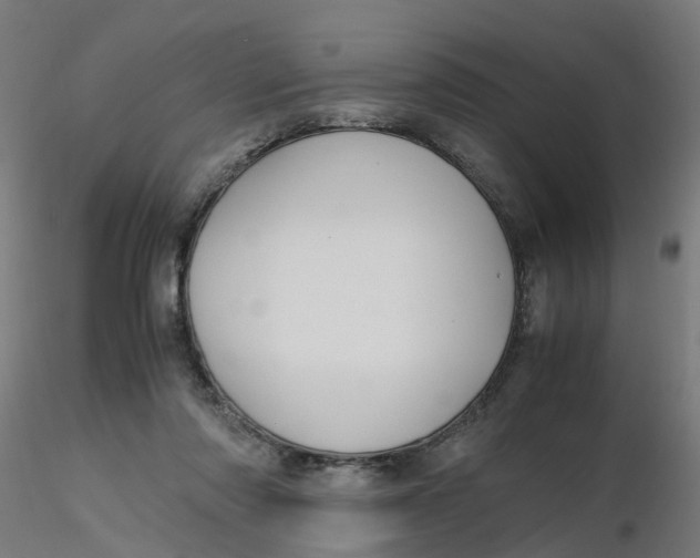 X0000116350310200912221507