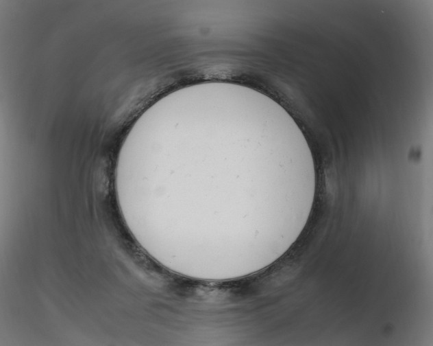 X0000116350311200912221507