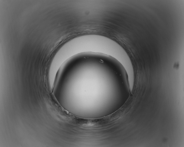 X0000116350312200912221507