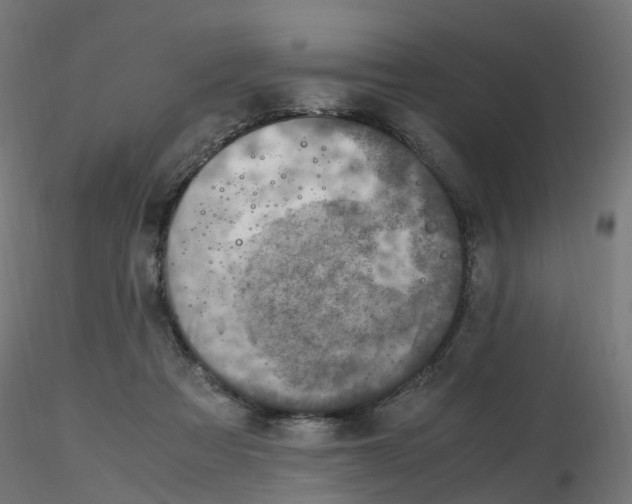 X0000116350313200912221507