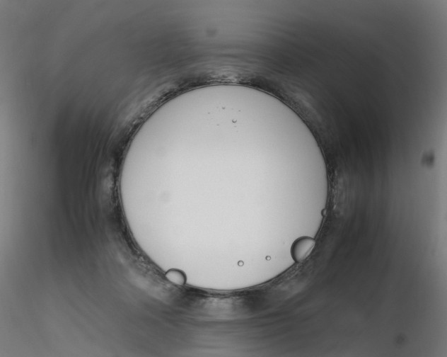 X0000116350314200912221507