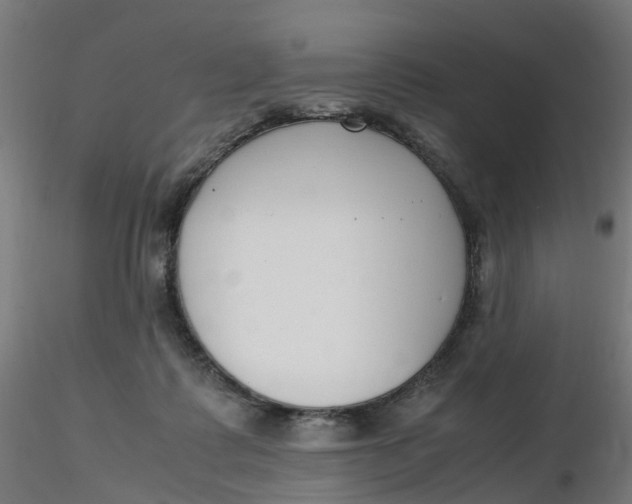 X0000116350315200912221507