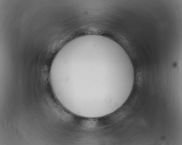 X0000116350318200912221507