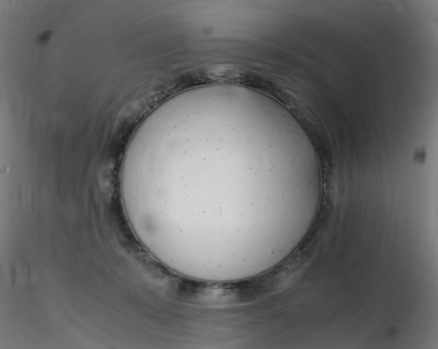 X0000116350319200912221507