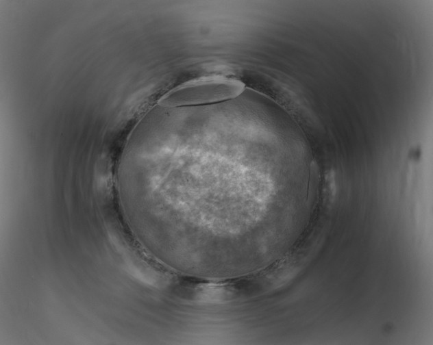 X0000116350320200912221507