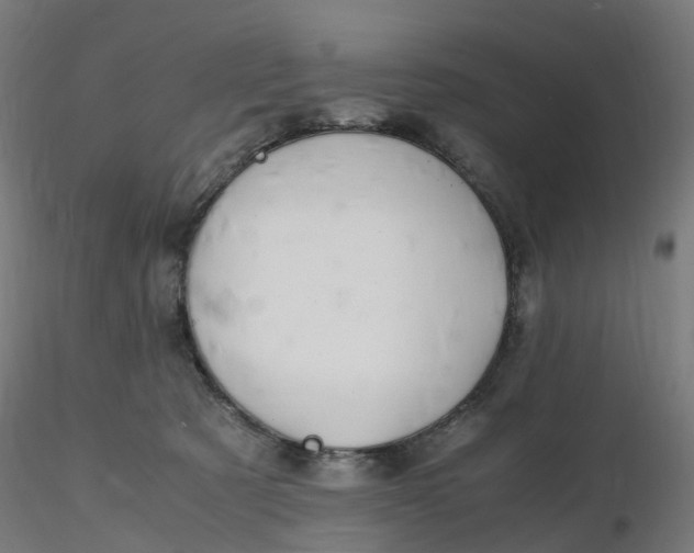 X0000116350321200912221507