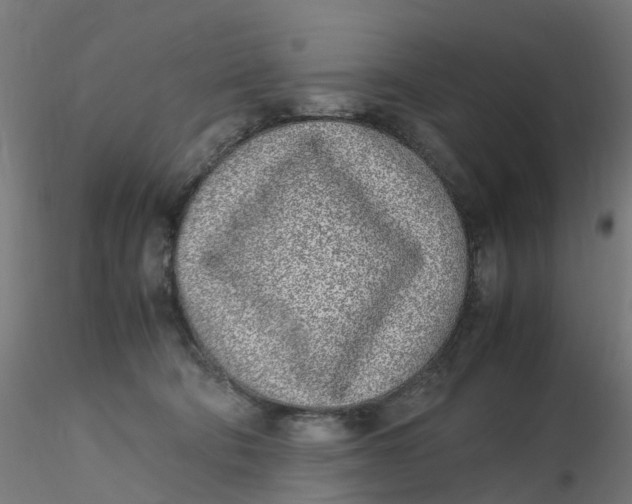X0000116350322200912221507