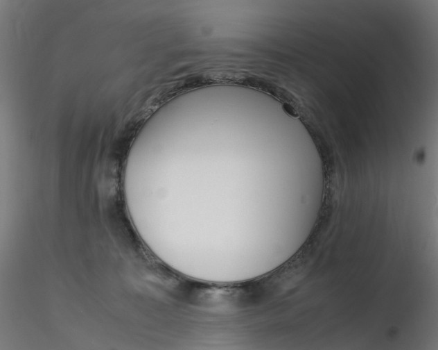 X0000116350323200912221507