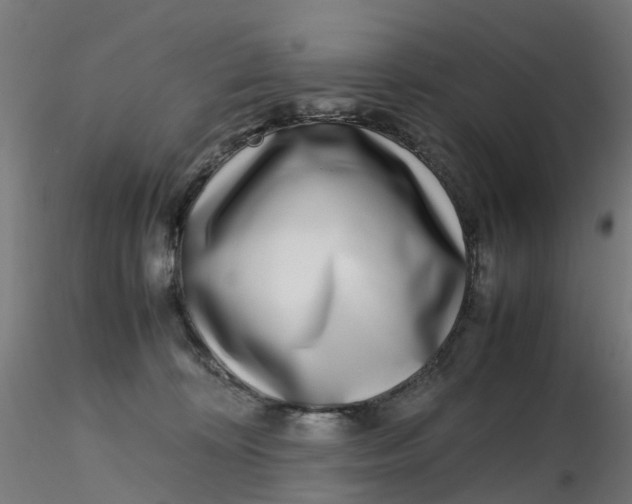 X0000116350324200912221507