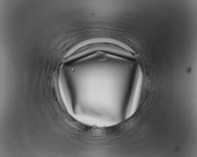 X0000116350325200912221507