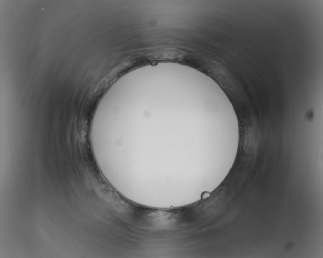 X0000116350326200912221507