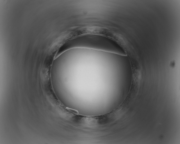 X0000116350327200912221507