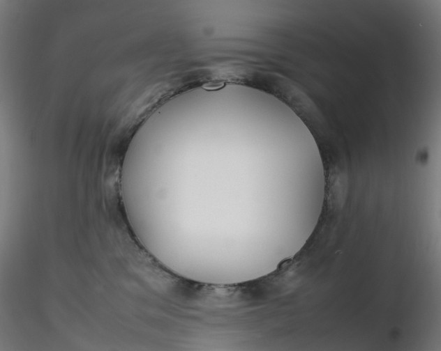X0000116350329200912221507