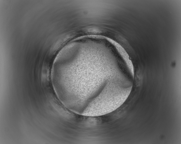 X0000116350330200912221507