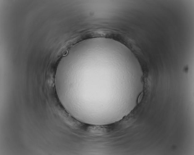X0000116350331200912221507
