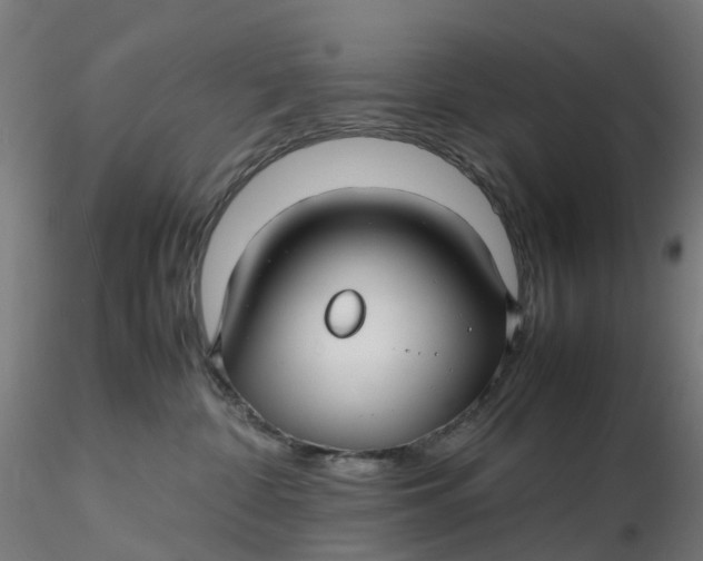 X0000116350332200912221507
