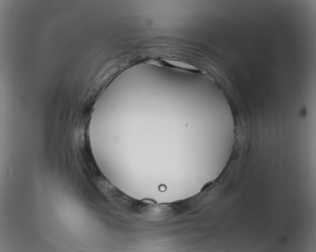 X0000116350333200912221507