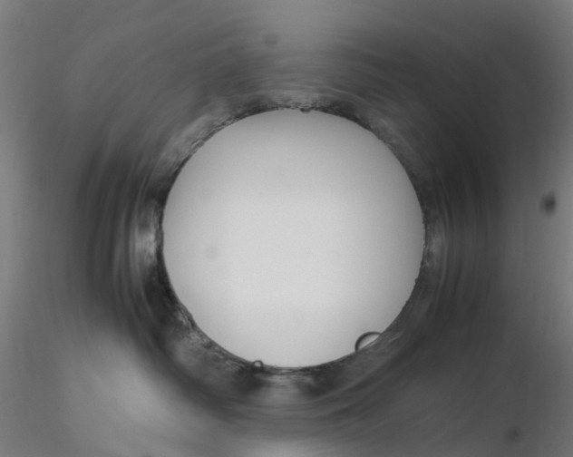 X0000116350334200912221507