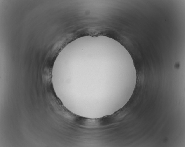 X0000116350335200912221507