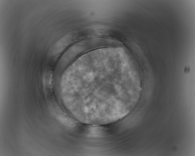 X0000116350336200912221507