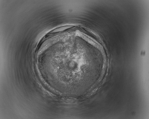 X0000116350337200912221506