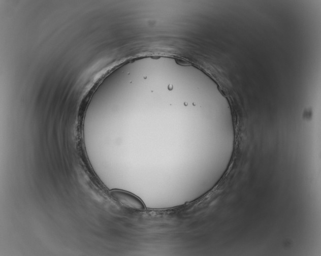 X0000116350338200912221506