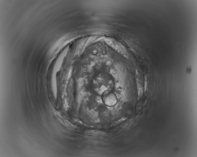 X0000116350339200912221506