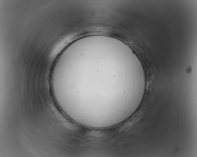 X0000116350341200912221506