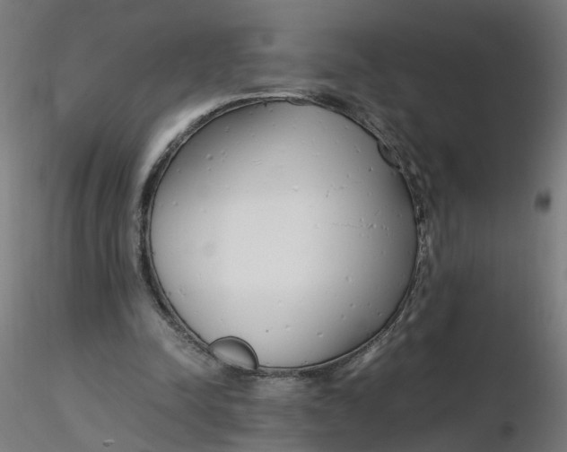 X0000116350342200912221506