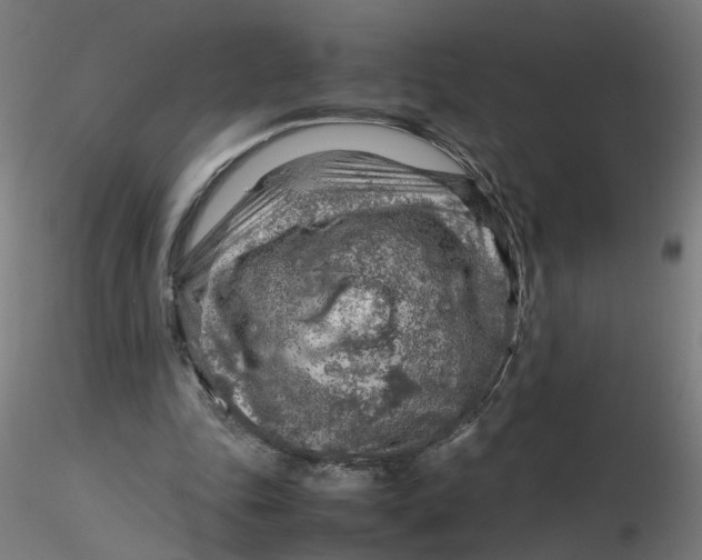 X0000116350343200912221506