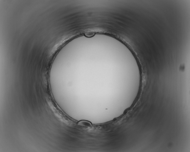 X0000116350345200912221506