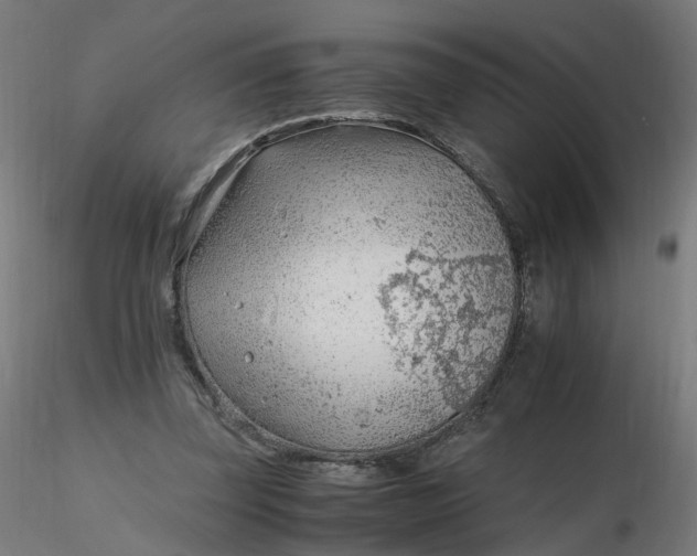 X0000116350347200912221506