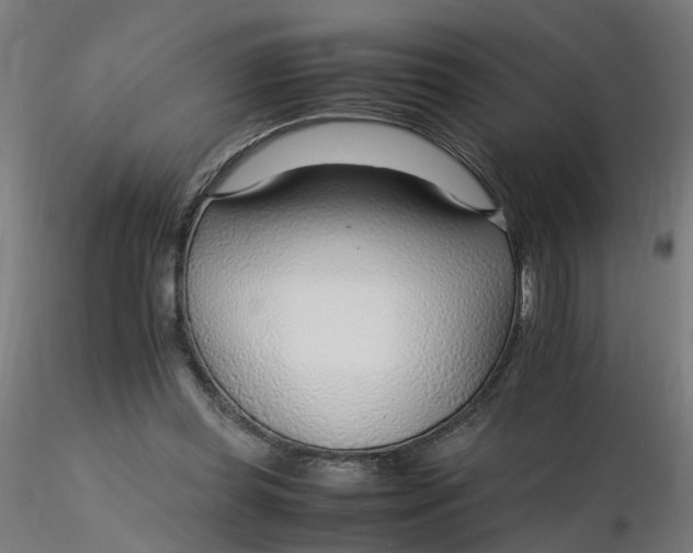 X0000116350349200912221506