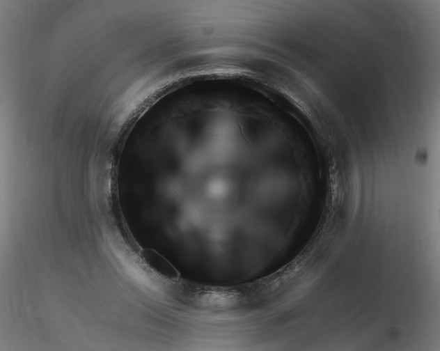 X0000116350350200912221506