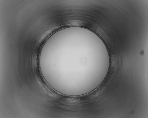 X0000116350351200912221506