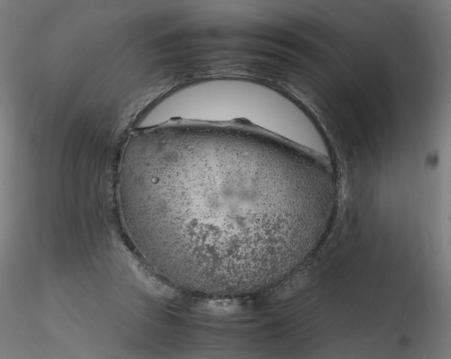 X0000116350353200912221507