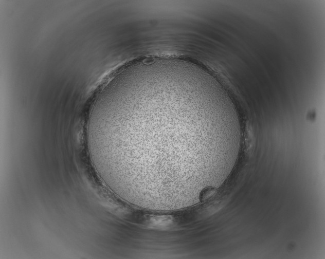 X0000116350355200912221507