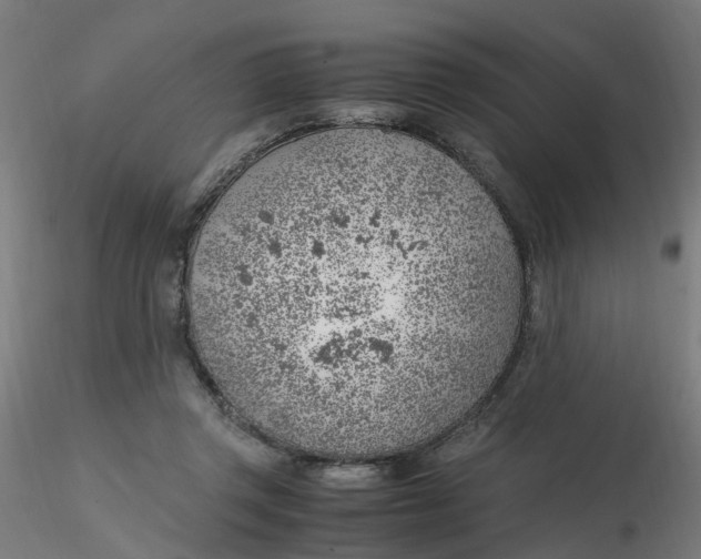 X0000116350357200912221507
