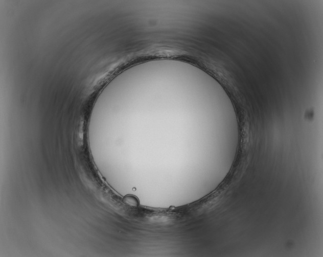 X0000116350358200912221507