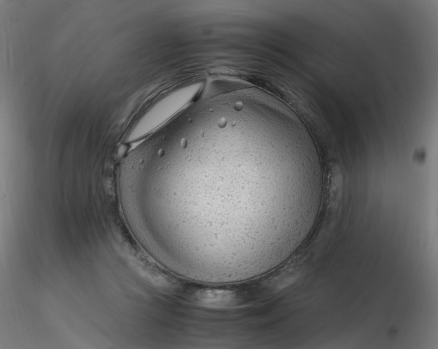 X0000116350361200912221507