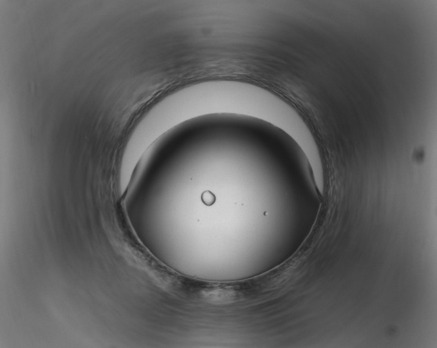 X0000116350362200912221507