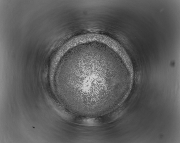 X0000116350365200912221507