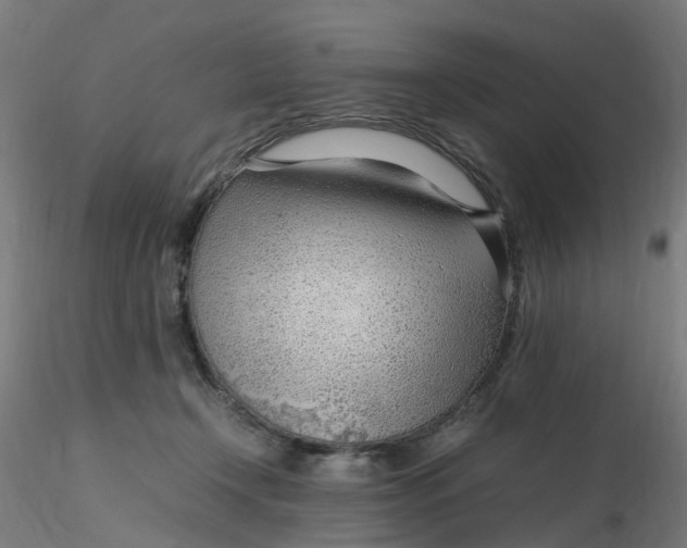 X0000116350366200912221507