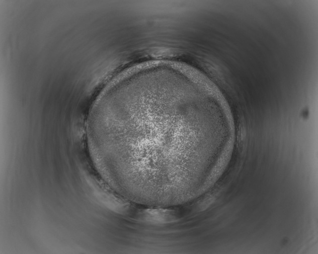 X0000116350367200912221507