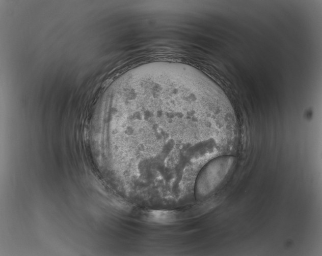 X0000116350371200912221507