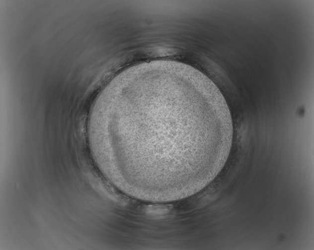 X0000116350373200912221507
