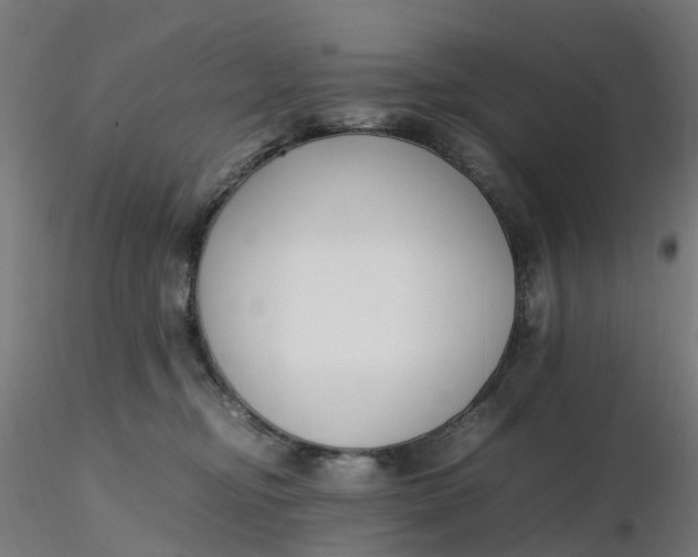 X0000116350374200912221507